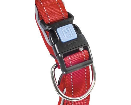 Vue détaillée d''un collier pour chien rouge avec fermeture et anneau en D