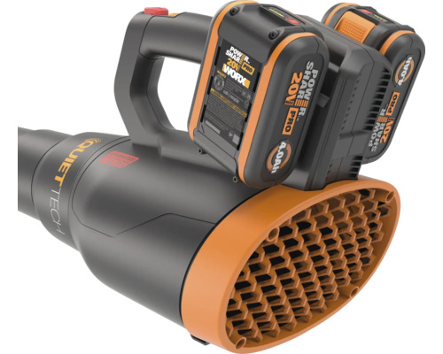 Souffleur de feuilles à batterie avec batterie