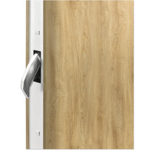 Detail vun enger Holzdier mat Diergrëff