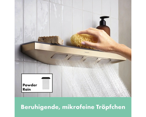 Kopfbrause mit Ablagefläche, Seife, Schwamm und Duschgel im Badezimmer