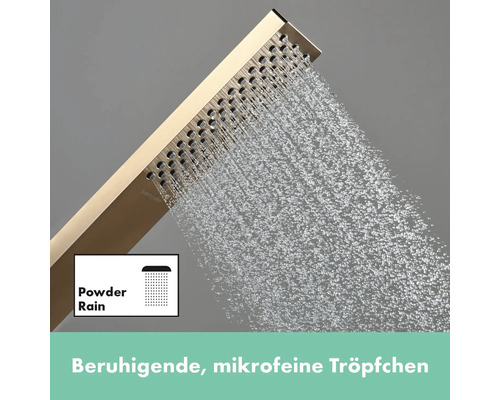 Handbrause mit Wasserstrahl Powder Rain