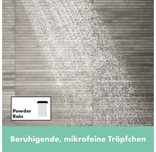 Brausegarnitur hansgrohe Pulsify E 100 1jet EcoSmart weiß matt Brausestangenlänge 663 mm 24370700