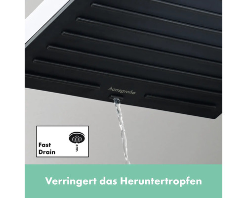 Hansgrohe Logo. Eine Kopfbrause mit schnellem Wasserablauf ist zu sehen.