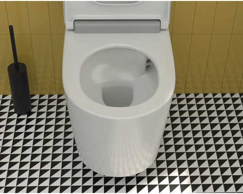 Toilette mit Toilettenbürste auf schwarz-weiß gemustertem Boden