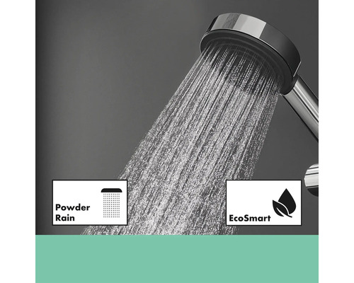 Handbrause mit PowderRain und EcoSmart Funktion