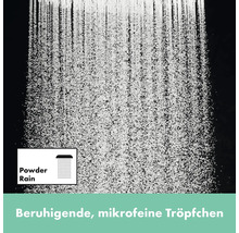 Duschsäule inkl. Thermostat hansgrohe Rainfinity 360 1jet chrom glänzend 26853000