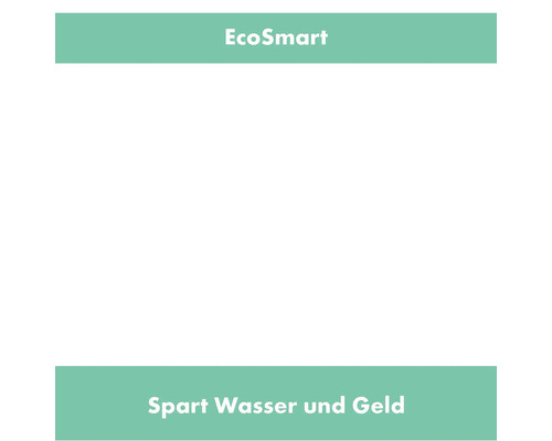 EcoSmart: Spart Wasser und Geld