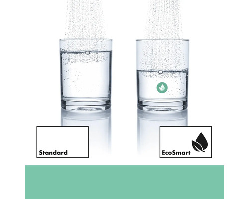 Vergleich von Standard und EcoSmart Wasserdurchfluss in zwei Gläsern