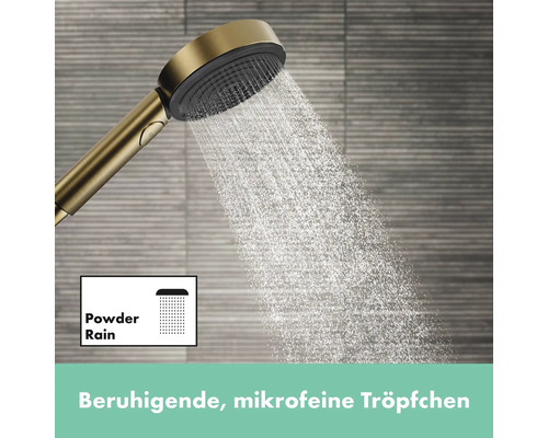 Handbrause mit PowderRain Strahlart