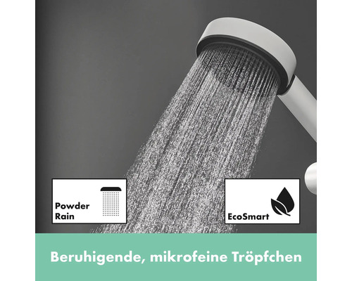 Handbrause mit Powder Rain und EcoSmart Funktion