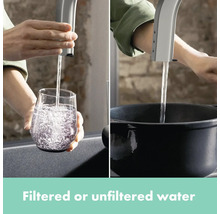 Wasserhahn mit der Option für gefiltertes oder ungefiltertes Wasser
