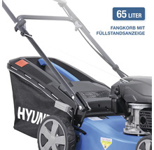 Tondeuse à gazon avec bac de ramassage de 65 litres et indicateur de niveau de remplissage