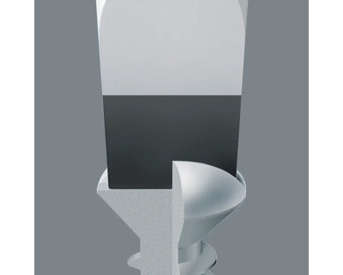 Tournevis saisit la vis