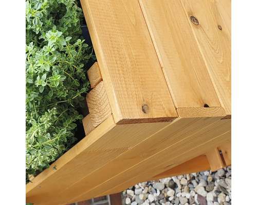 Vue détaillée d''un potager surélevé en bois avec des plantes