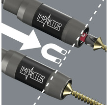 Illustration de la fonction de maintien magnétique des vis de Wera Impaktor