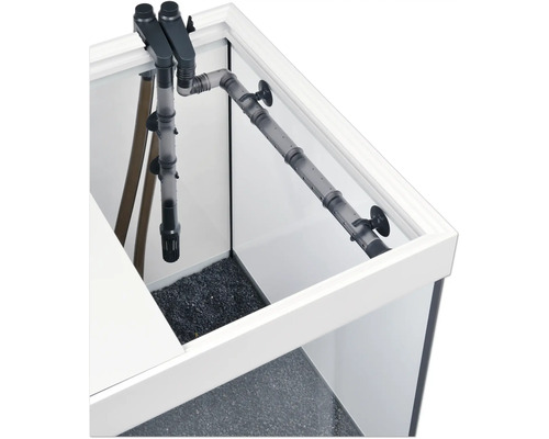 Vue intérieure d''un aquarium avec système de filtration