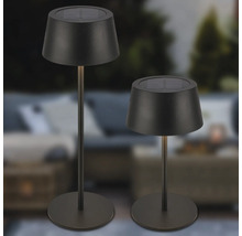 Zwei Solarleuchten für den Aussenbereich auf einem Gartentisch