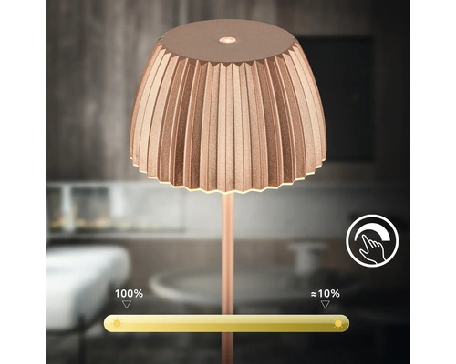 Lampe de table décorative avec fonction de variation d''intensité