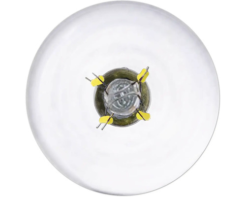 Detailaufnahme einer Glühbirne, die das Innere und die Anschlussstifte zeigt