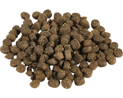 Haufen Hunde-Trockenfutter