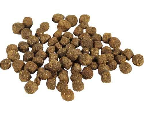 Haufen Hunde Trockenfutter