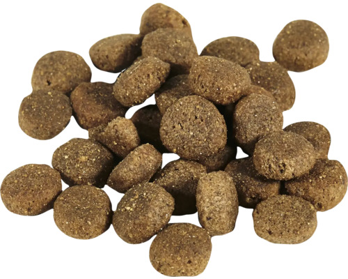Tas de nourriture sèche pour animaux de compagnie
