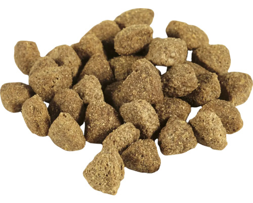 Braunes Trockenfutter für Hunde