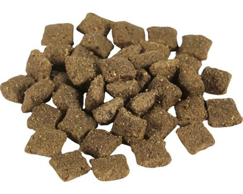 Aliments secs marron carrés pour chiens