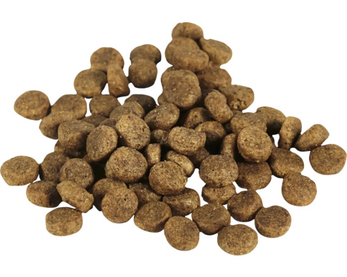 Haufen Trockenfutter für Hunde