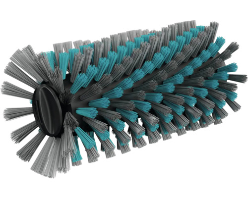 Rouleau de brosse avec poils