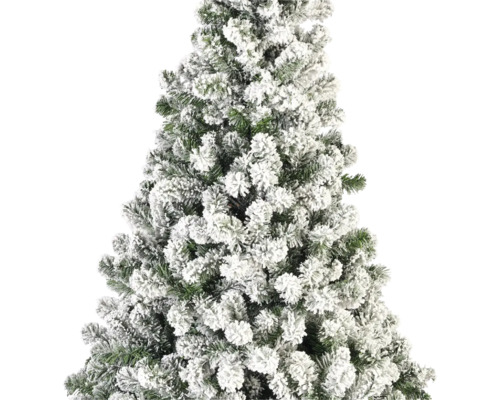 Gros plan sur un arbre de Noël enneigé