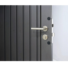 Gerätehaus Biohort HighLine H3 Standardtür 275 x 235 cm silber-metallic