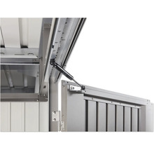 Gerätehaus Biohort HighLine H4 Doppeltür 275 x 275 cm silber-metallic