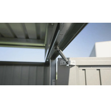 Gerätehaus Biohort HighLine H4 Doppeltür 275 x 275 cm silber-metallic