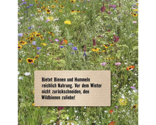 Blumenwiese mit Hinweistext: Bietet Bienen und Hummeln reichlich Nahrung. Vor dem Winter nicht zurückschneiden, den Wildbienen zuliebe!