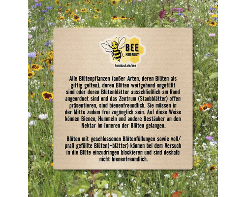 Informationen zu bienenfreundlichen Pflanzen
