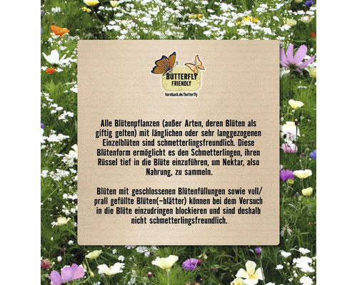 Informationen zur Schmetterlingsfreundlichkeit von Blütenpflanzen