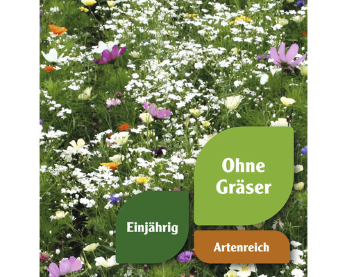 Blumenwiese mit einjährigen, artenreichen Blumen ohne Gräser