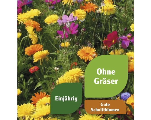 Blumenwiese mit einjährigen Blumen, ohne Gräser und gut geeignet als Schnittblumen