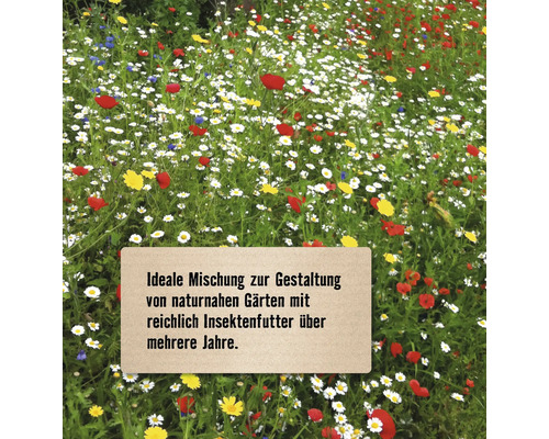 Blumenwiese mit verschiedenen Blüten zur Gestaltung naturnaher Gärten