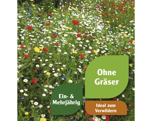 Blumenwiese mit ein- und mehrjährigen Pflanzen, ohne Gräser, ideal zum Verwildern