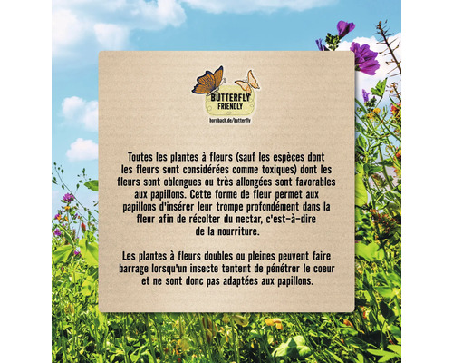 Panneau d''information sur les plantes amies des papillons