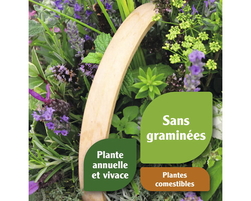 Jardin d''herbes aromatiques avec des plantes comestibles et mention de plantes annuelles et vivaces, ainsi que sans graminées