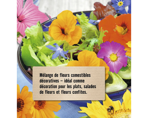 Salade avec mélange de fleurs comestibles en décoration