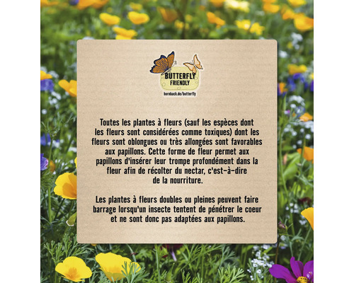 Informations sur les plantes amies des papillons