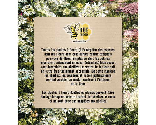 Informations sur la conception de jardins respectueux des abeilles et la sélection de plantes appropriées