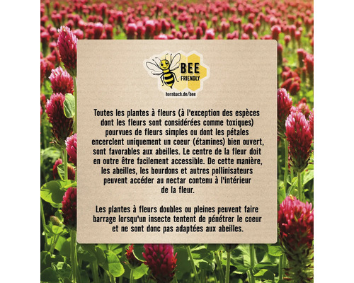 Informations sur les plantes amies des abeilles