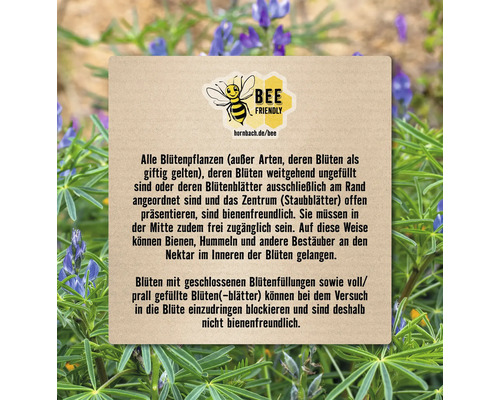 Informationstafel zum Thema bienenfreundliche Pflanzen