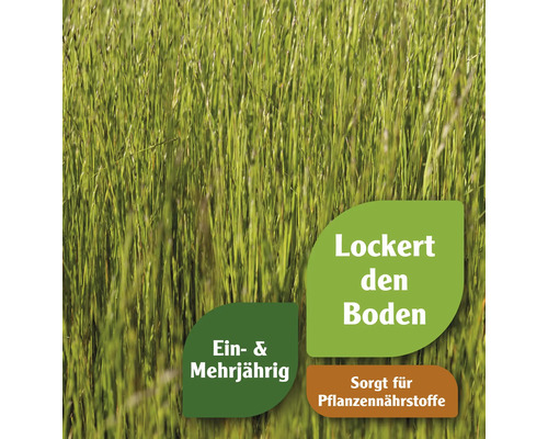 Grünpflanzen-Abbildung mit dem Text ''Lockert den Boden'', ''Sorgt für Pflanzennährstoffe'' und ''Ein- und mehrjährig''.