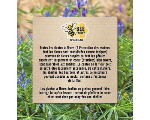 Informations sur la conception d''un jardin respectueux des abeilles